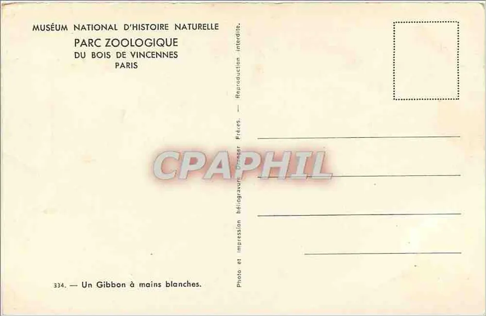 Gibbon à mains blanches — Muséum national d'Histoire naturelle, Parc zoologique du Bois de Vincennes, Paris — n° 334 - Verso