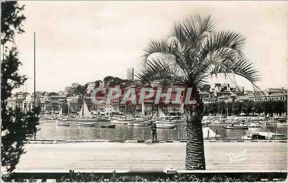 Le Suquet em Cannes — vista do porto com palmeira — Les Éditions Françaises - Frente