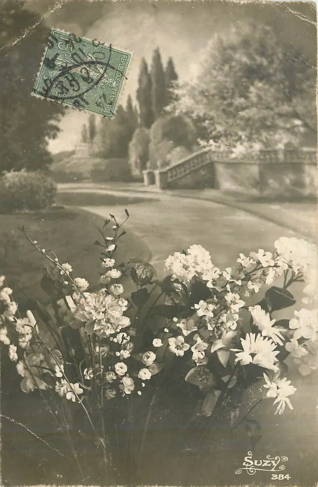 Jardim com flores — Suzy 384 — Suzy - Frente