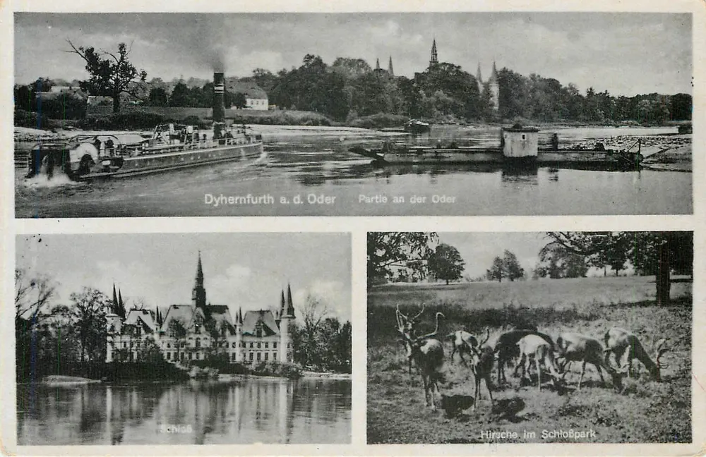 Dyhernfurth a.d. Oder — Parte na margem da Oder, Castelo, Cervos no Parque do Castelo — editor Franz Streitenberger, Breslau - Frente