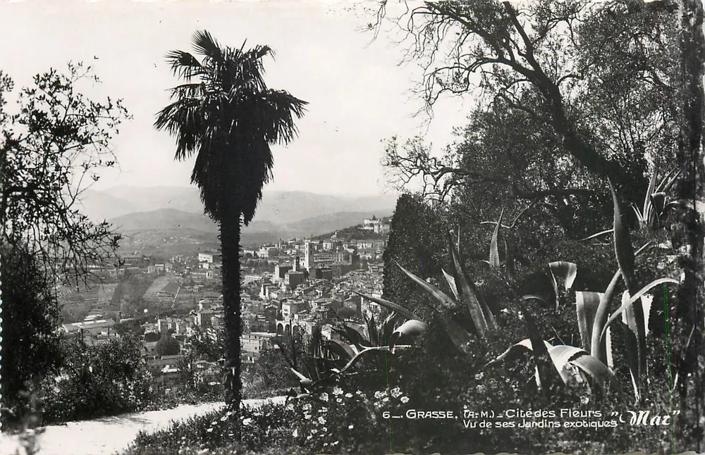Grasse (A.M.) — Stadt der Blüten — Ansicht ihrer exotischen Gärten — Editions MAR - Vorderseite