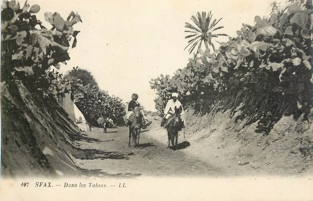 Sfax — Nas Tabnas — LL - Frente