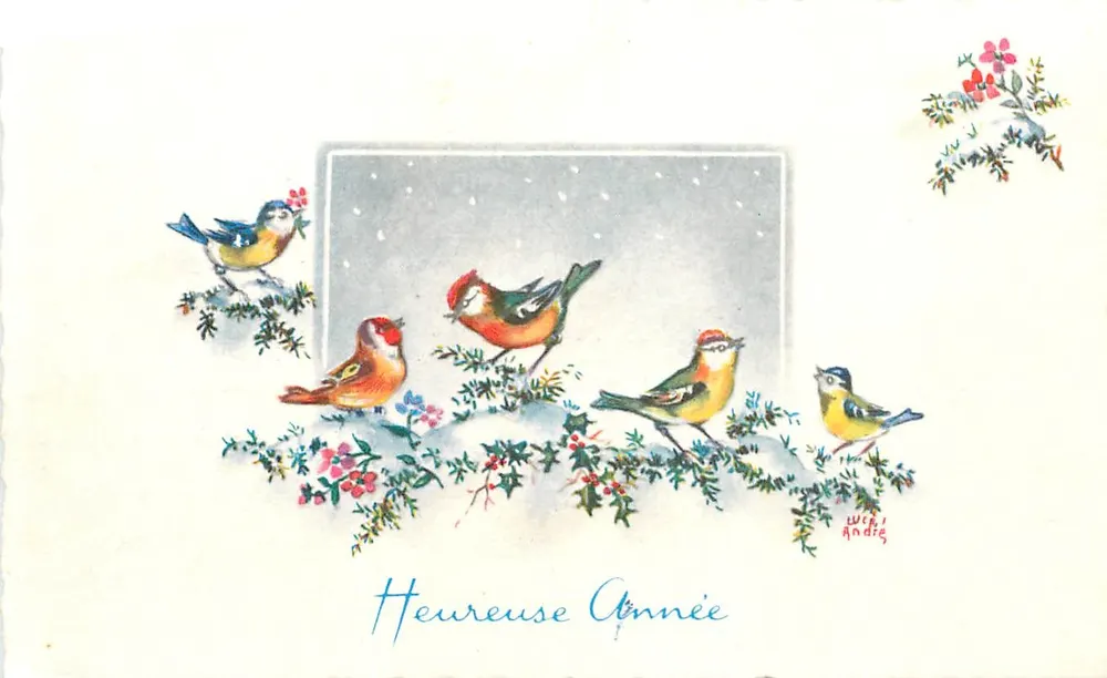 Pássaros no inverno — Feliz Ano — Lucchi Andie - Frente