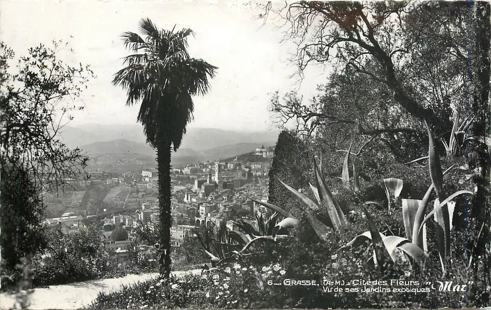 Grasse (Alpes-Maritimes) — Stadt der Blumen, Ansicht ihrer exotischen Gärten — "Maz" - Vorderseite