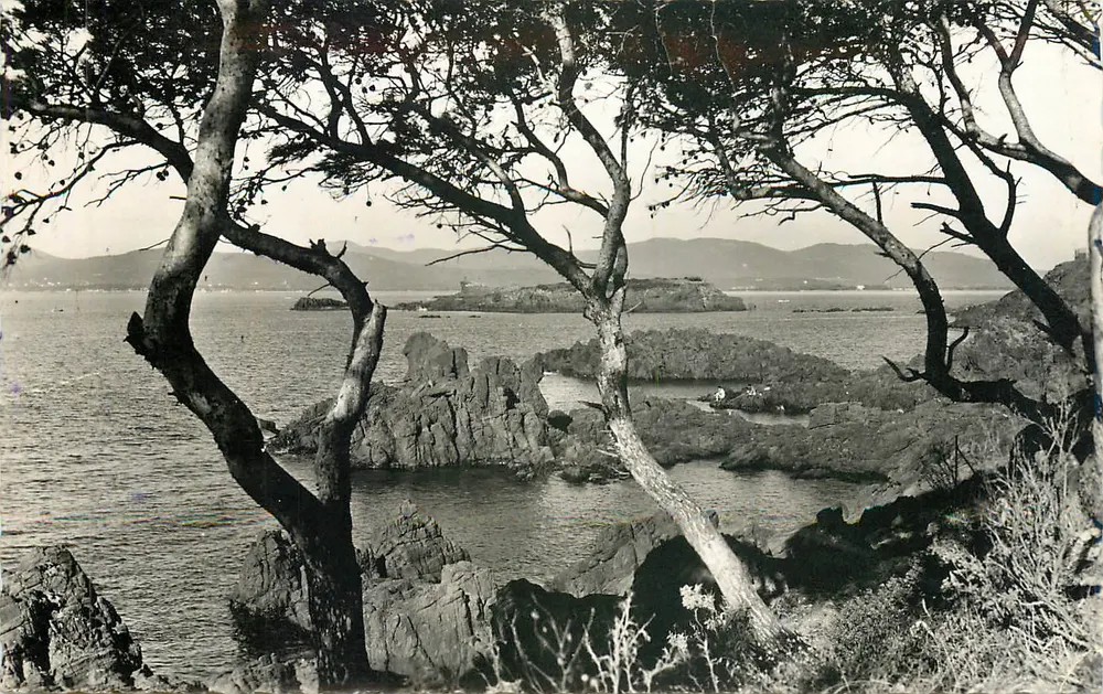 Die Côte d'Azur — St. Raphael (Var) — Der Land-Löwe von Santa-Lucia — Editionen « MARIE » Nice - Vorderseite