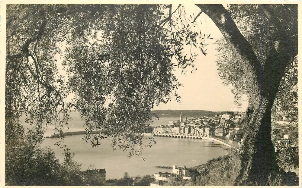 Vue de Menton — prise de la colline — Collection D'Azur - Frente