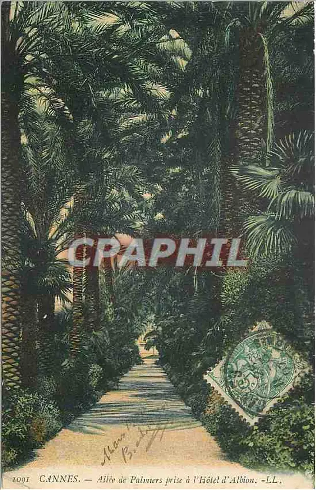 CANNES — Palmengasse vom Hotel d'Albion aus — LL, n° 1091 - Vorderseite