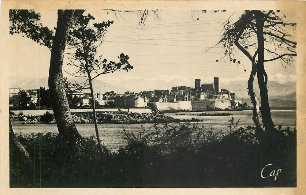 Antibes — Vista através dos Pinheiros — editor REAL-P-O 3 CAP - Frente
