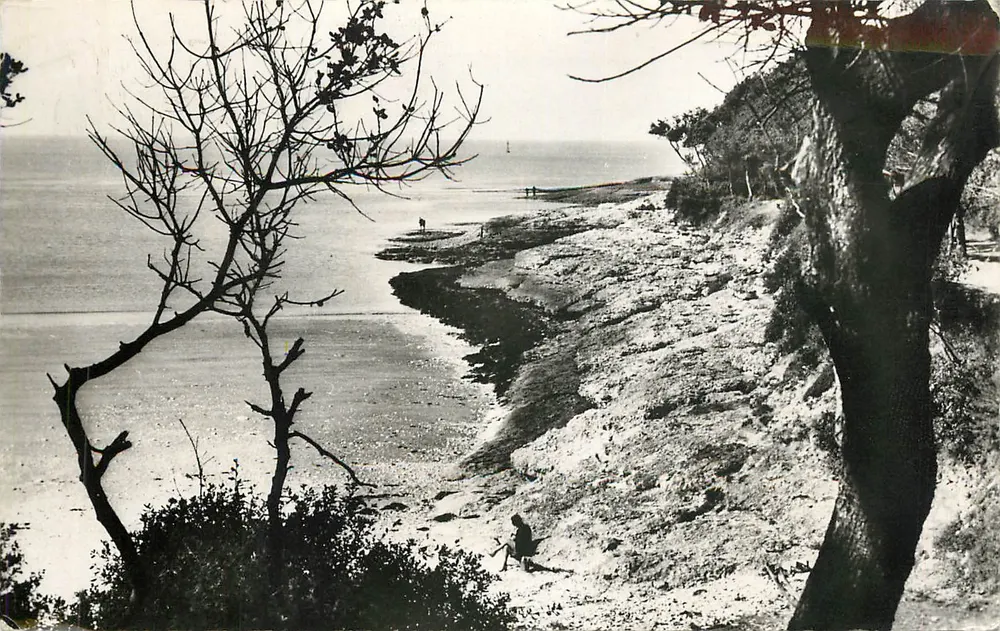 Saint-Palais-sur-Mer — Strand van het Concieir — onbekende uitgever, n° 501 - Voorkant