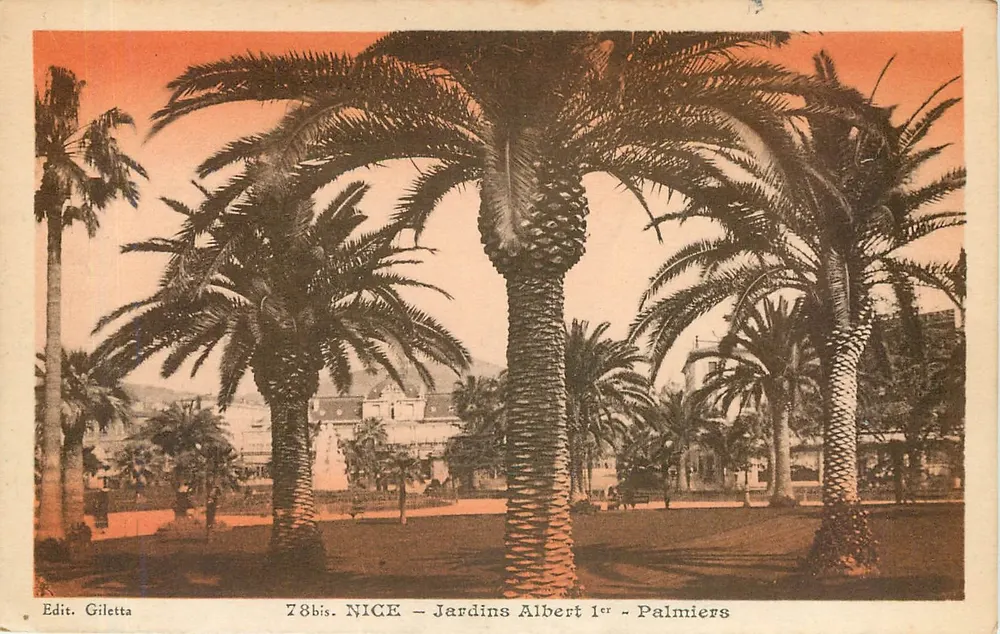 Nice - Jardins Albert 1er - Palmeiras — Edit. Giletta, n° 78bis - Frente