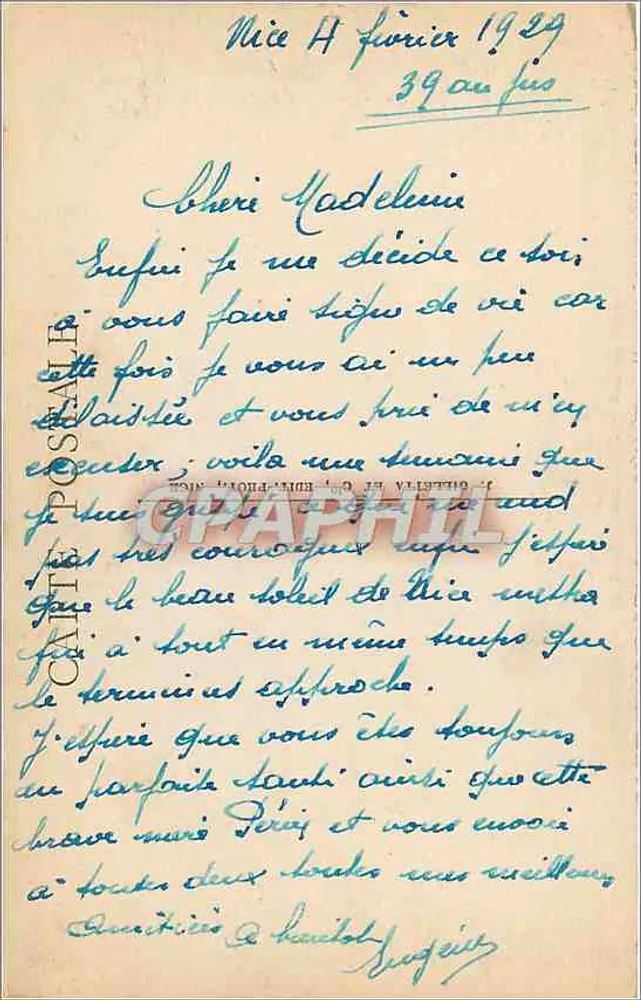 Nice - Jardins Albert 1er - Palmeiras — Edit. Giletta, n° 78bis - Verso