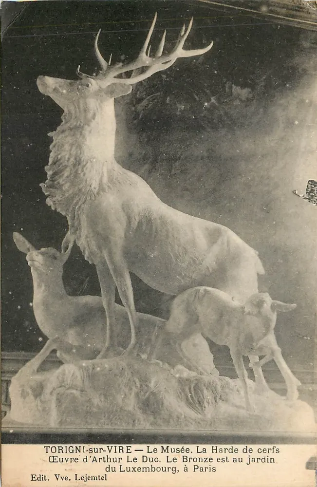 Torigni-sur-Vire — Le Musée. La Harde de cerfs. Œuvre d'Arthur Le Duc. Bronze au jardin du Luxembourg, à Paris — Edit. Vve. Lejemtel - Recto
