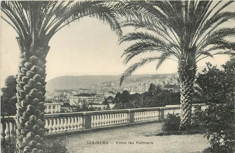 SAN-REMO — Entre os Palmeiras — Cartolina Postale Italiana - Frente