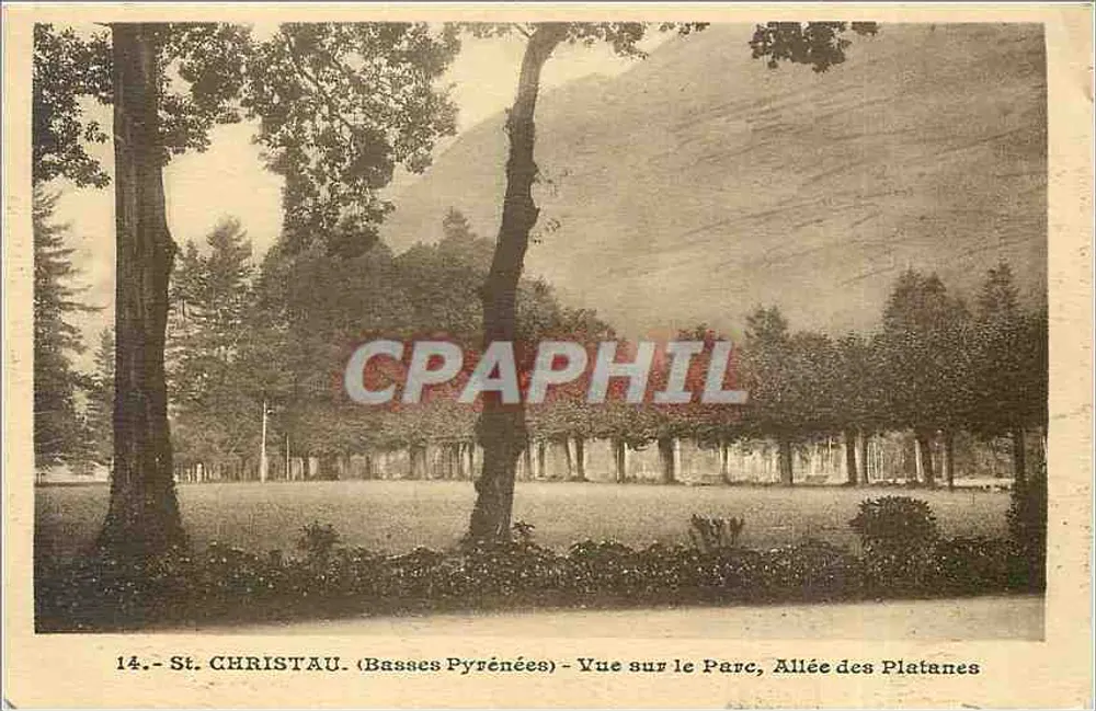 St. CHRISTAU (Basses Pyrénées) — Ansicht des Parks, Reihe der Platane — Phototypie 'Pierre Barreau' n°14 - Vorderseite