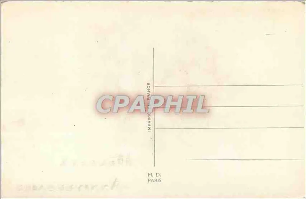 Arranjo de flores — Anémonas e mimosa — M. D. Paris - Verso