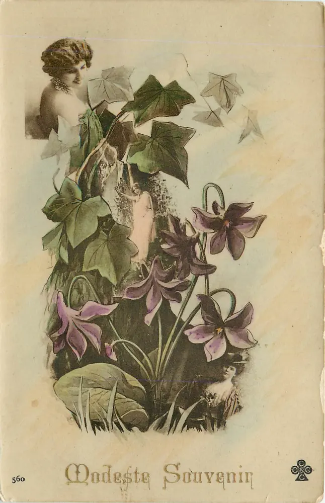 Mulher no meio de violetas e hortênsias — Modeste Souvenir — n° 560 - Frente