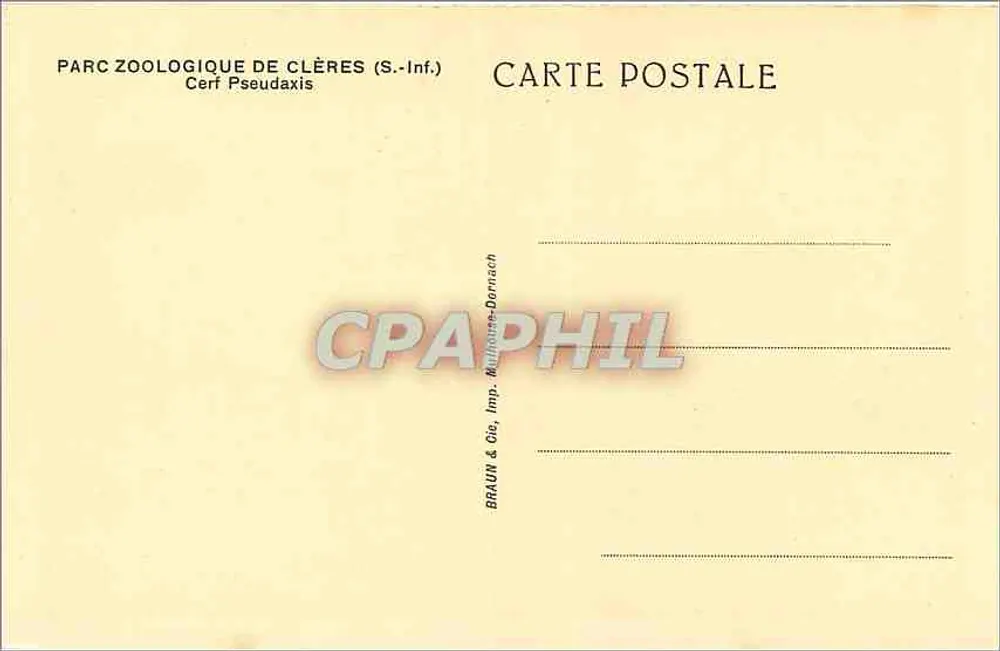 Ciervo Pseudaxis — Parque Zoológico de Clères (S.-Inf.) — BRAUN & Cie, Mulhouse-Dornach - Reverso