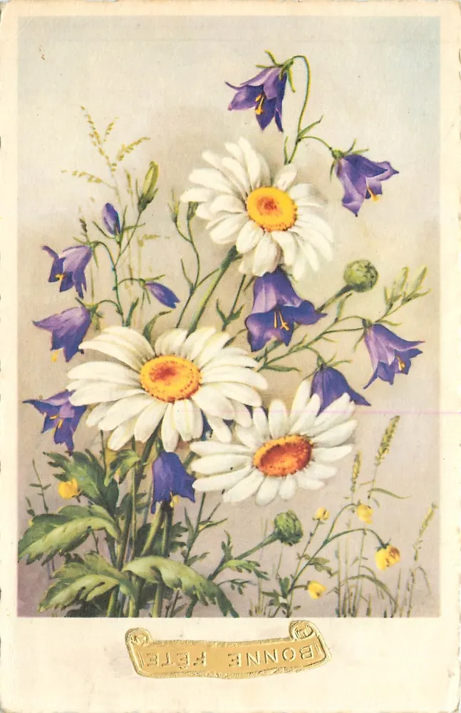 Flores de primavera — margaridas e campanulas — editor desconhecido, série não identificada - Frente