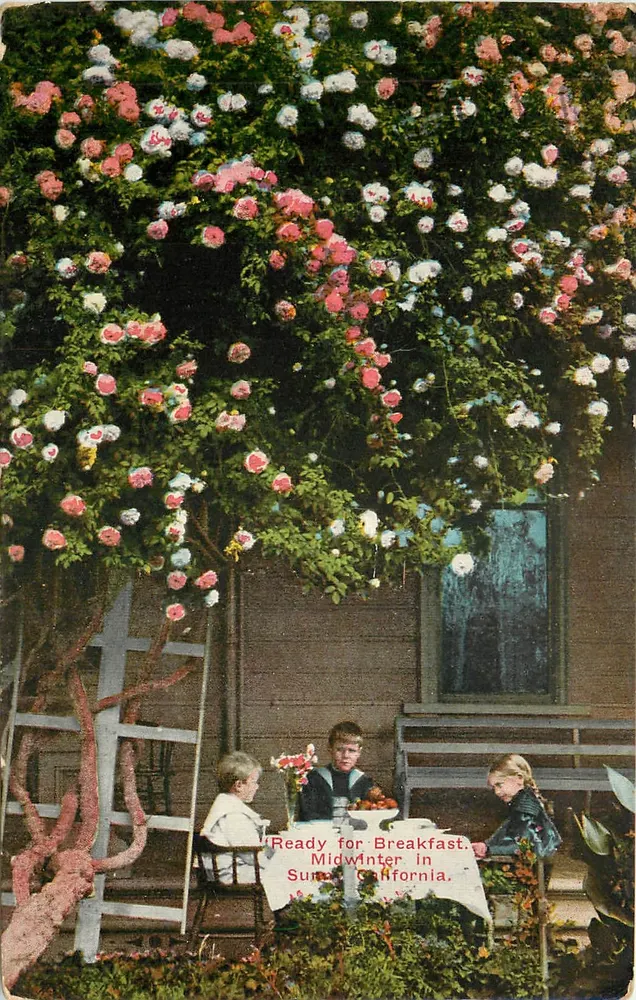 Préparation du petit déjeuner — Surna, Californie — éditeur Norman Post Card Co. n° AB 110 - Recto