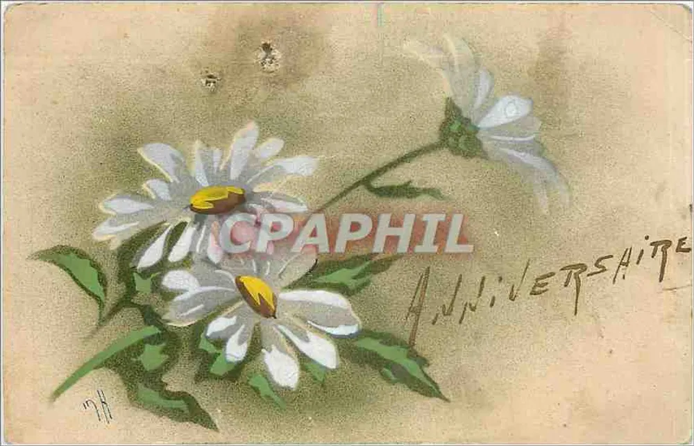 Fleurs de marguerites — illustration — éditeur : UNION POSTALE UNIVERSELLE, n° 178 - Frente