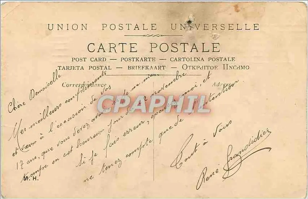 Fleurs de marguerites — illustration — éditeur : UNION POSTALE UNIVERSELLE, n° 178 - Verso