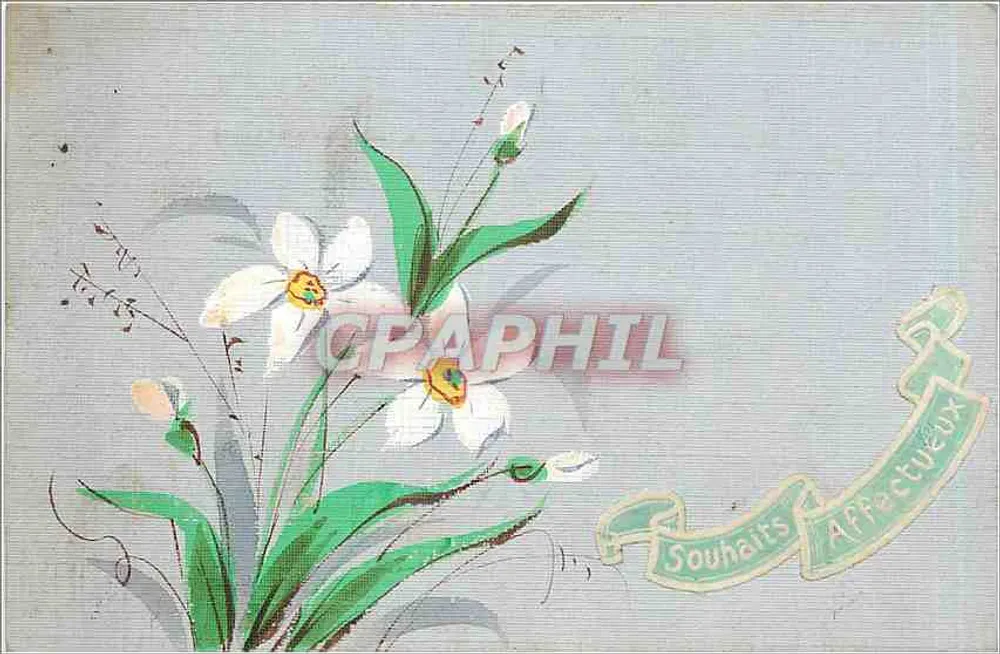 Flores brancas — cartão postal de boas-vindas — editor desconhecido, número de série não visível - Frente