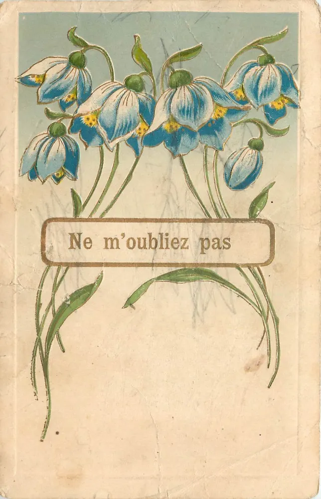 Flores azuis — Não me esqueça — Carta postal interior - Frente
