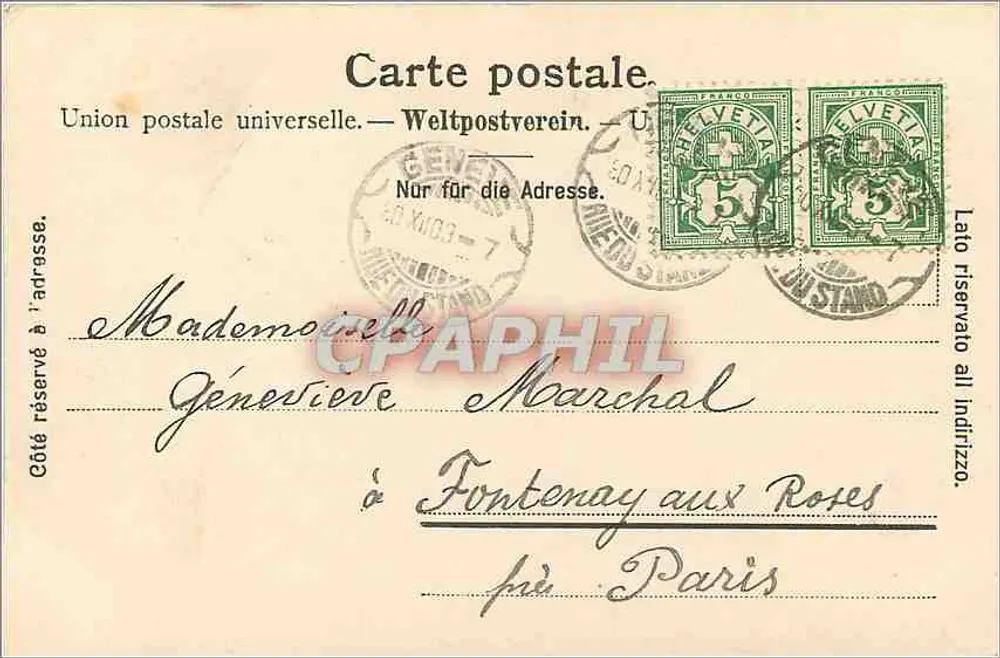 Duas gaivotas — praia rochosa — E. Chiffelle, fot., Neuchâtel, n° 360 b - Verso