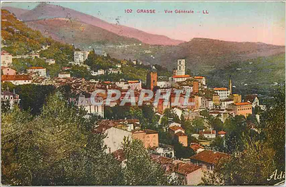 ग्रास - सामान्य दृश्य - एलएल - आगे