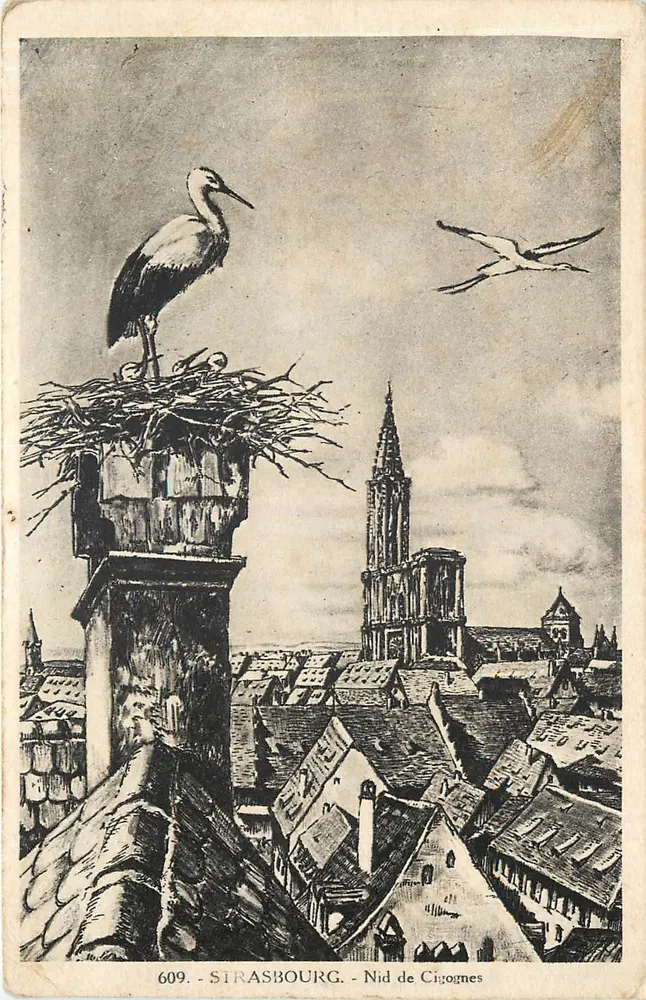 Strasburg — Gniazdo kruków — Wyd. Ch. Bergeret, n° 609 - Awers