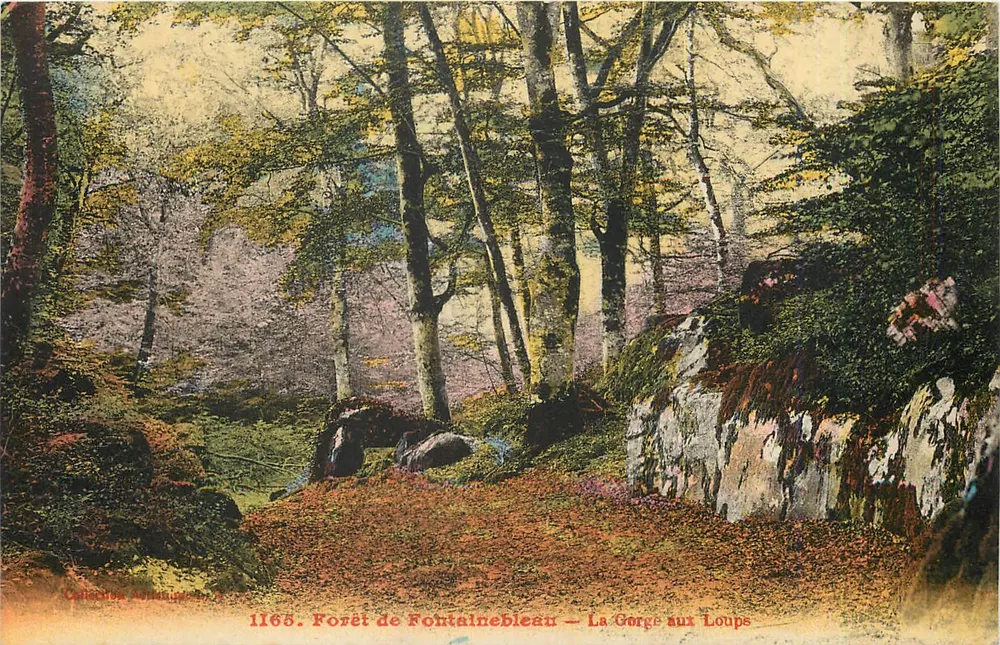 Forêt de Fontainebleau — La Gorge aux Loups — Collection des Animaux, n°1165 - Recto