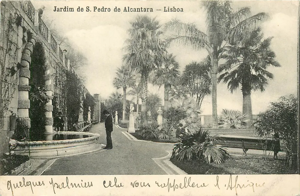 Giardino di S. Pietro di Alcantara — Lisbona — Edizione N° 1034 - Recto