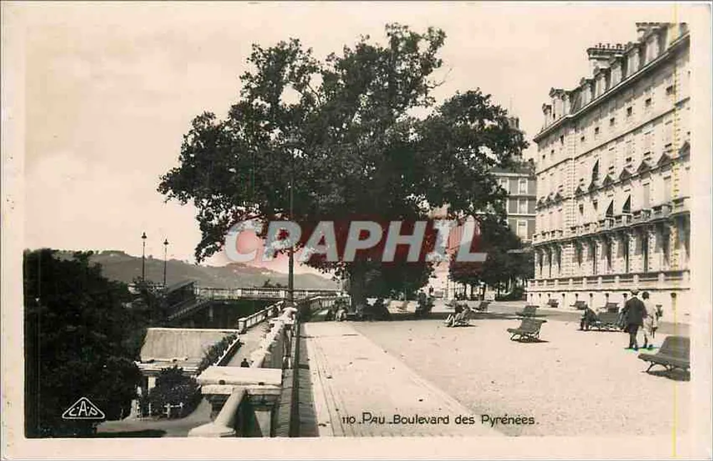 Pau - Boulevard dos Pirineus — vista do parque com árvores e edifícios — editor A.P. Stalaburg, n°110 - Frente