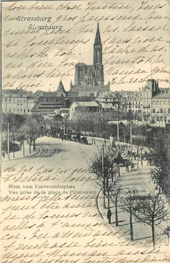 Strasbourg — Vue prise de la place de l'Université — éditeur F. L. P. (n° 67) - Recto