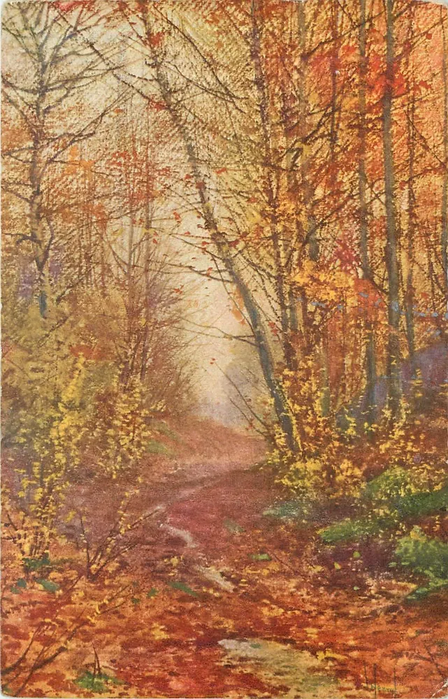 Floresta de outono — caminho cercado de folhas — editor S.Y.T. n°14 - Frente