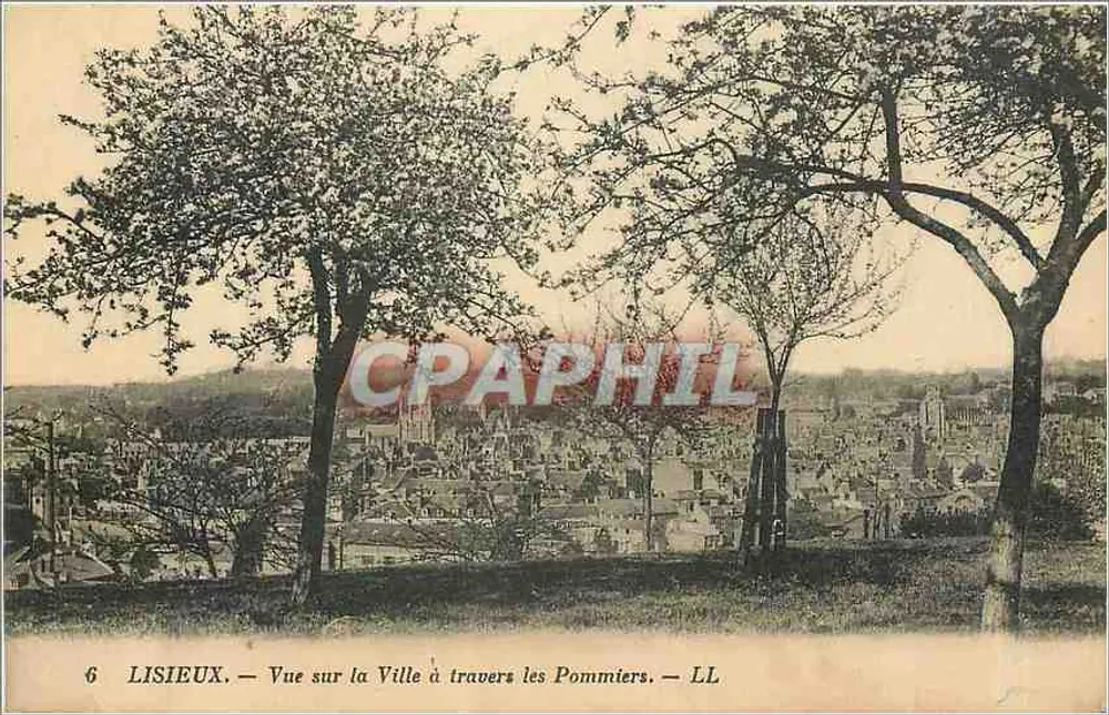 Lisieux — Ansicht der Stadt durch die Apfelbäume — LL - Vorderseite