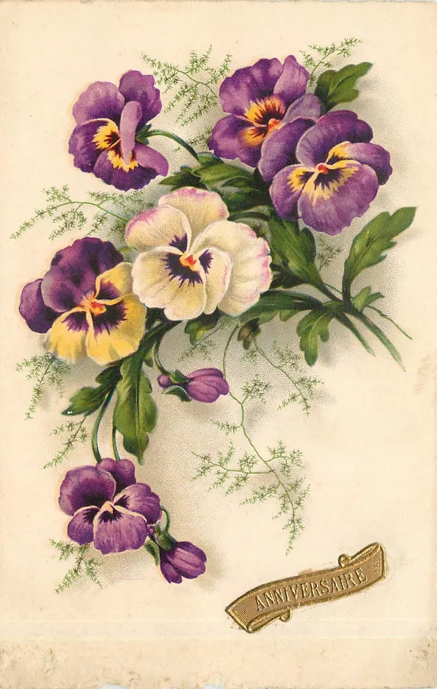 Bouquet de pensées — Aniversário — Meiszner N° 67 - Frente