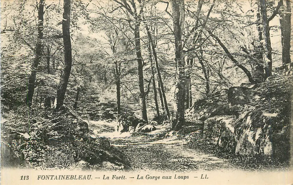 Fontainebleau — La Forêt — La Gorge aux Loups — LL — n°113 - Recto