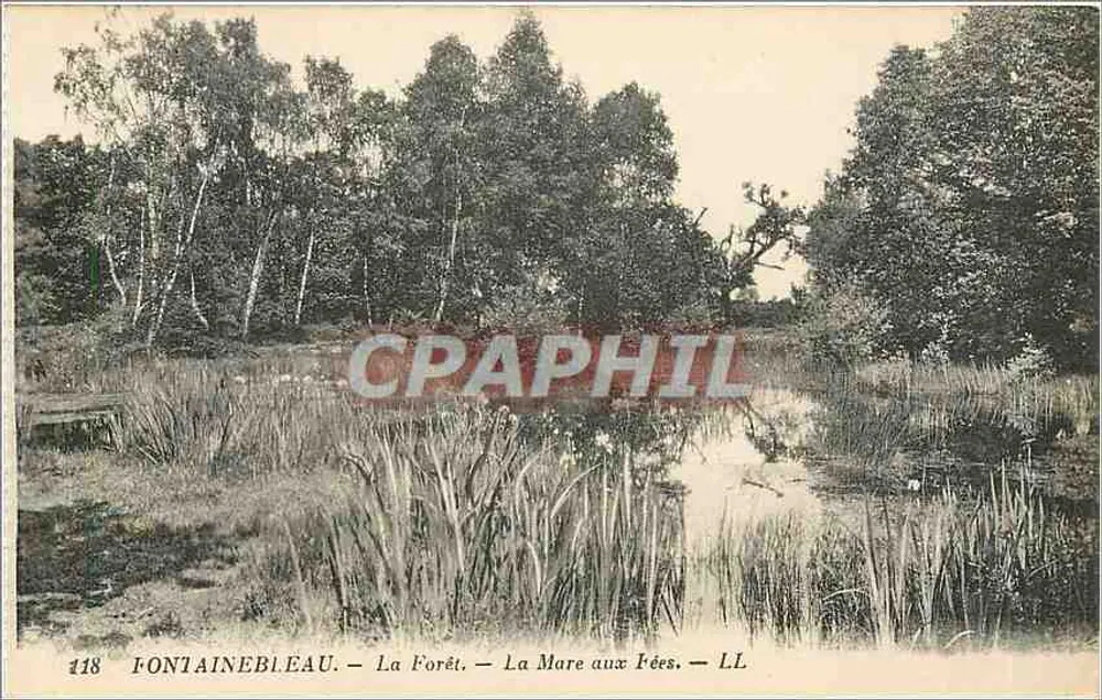 Fontainebleau — La Forêt — La Mare aux Fées — LL - Recto