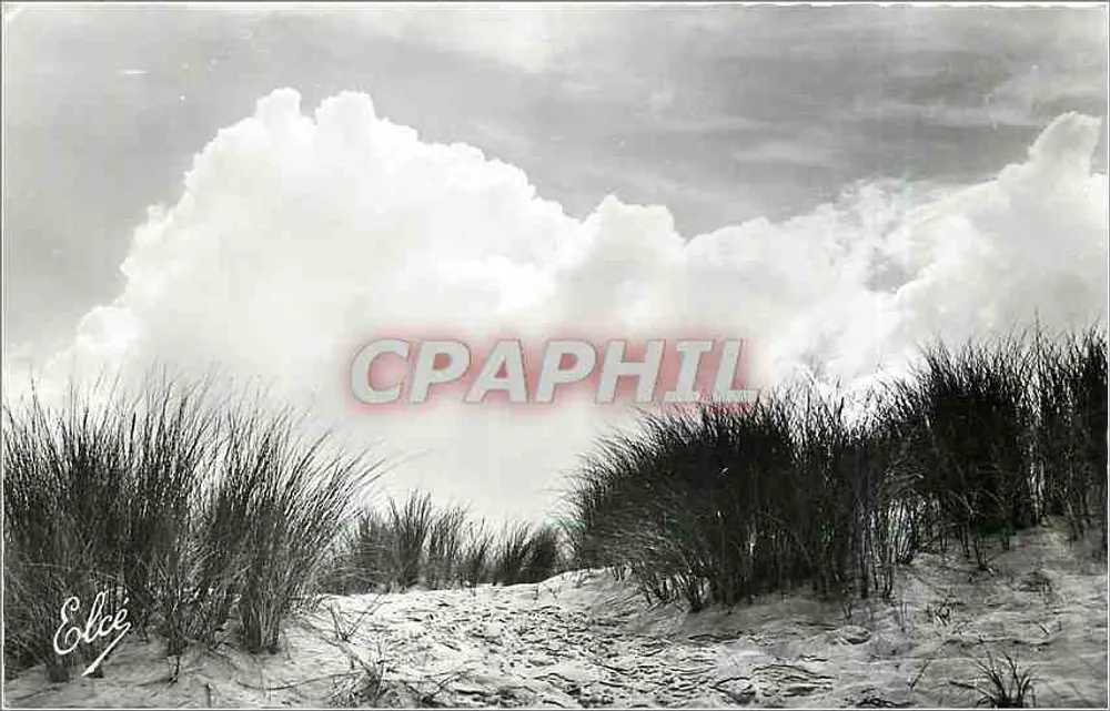 Die wilde Düne am Ozean — Souillac-sur-Mer (Gironde) — L. Chartraguau, Südländische Reproduktion - Vorderseite