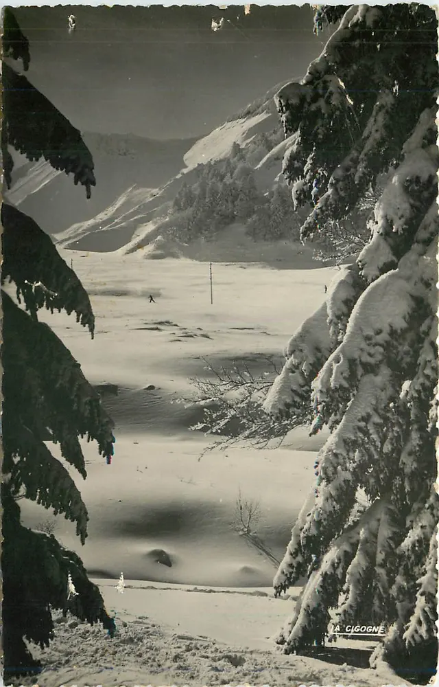 Paysage de neige au Sancy — Le Mont Dore (P.-de-D.) — Édit. « La Cigogne » - Recto