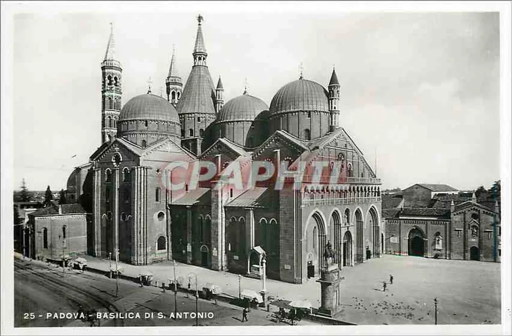 Padua - Basiliek van Sint Antonius — uitgever A. Campassi, Torino, n° 25 - Voorkant