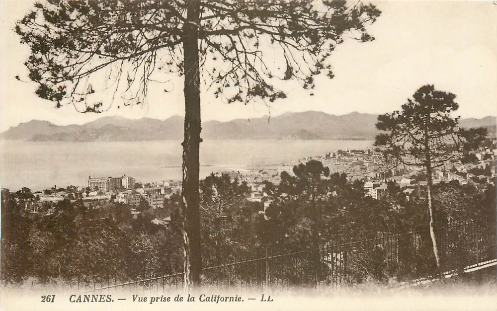 CANNES — Vue prise de la Californie — LL n°261 - Recto