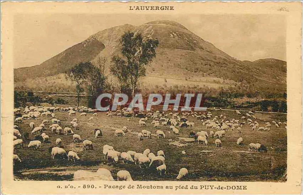 Schafweide am Fuße des PUY-de-DOME — L'Auvergne — J. Goutefauges, Verlag (P.-de-D.) - Rückseite