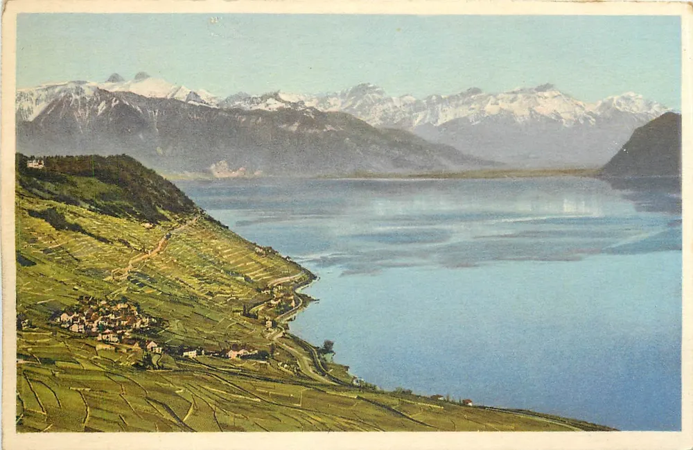 Le Lavaux — Lago Léman — impressa na Suíça, n° 1017 - Frente