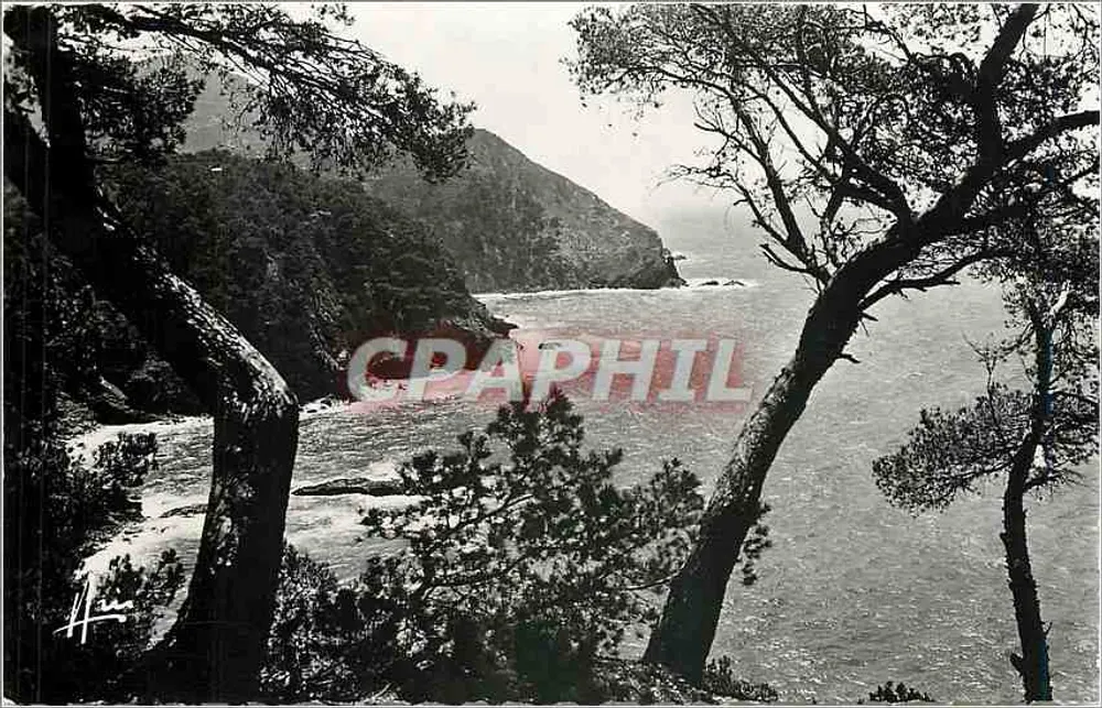 A Ponta do Cap Sicie — Costa Azul — Edições A. R. I. D. E. - Frente