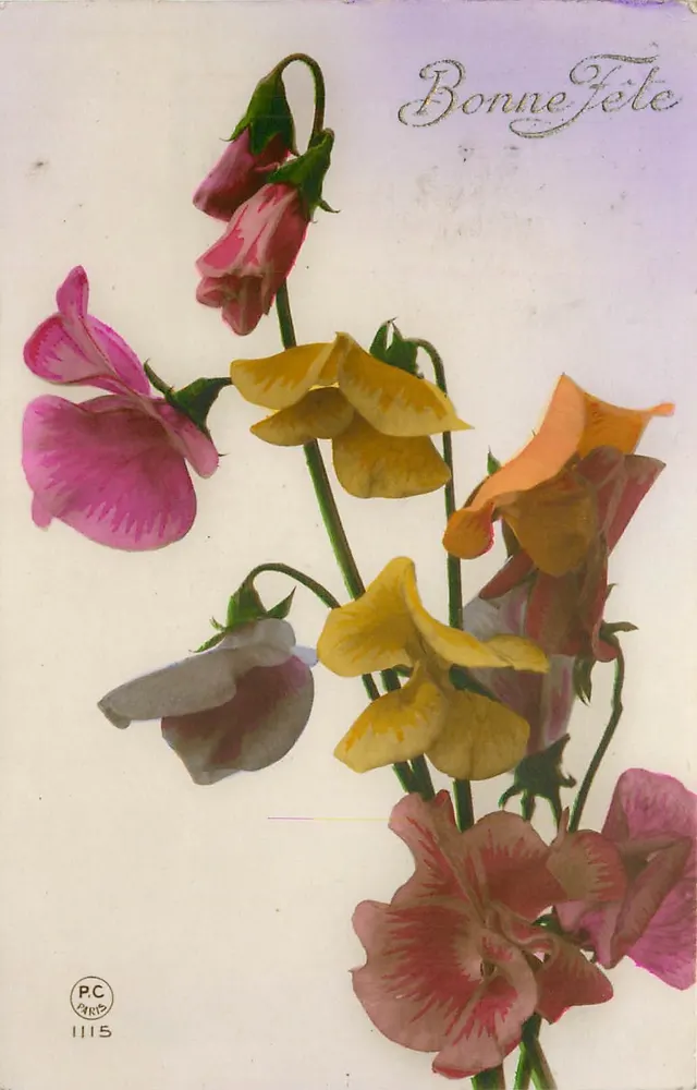 Colorful Flowers — Happy Birthday — P.C. PARIS 1115 - Front