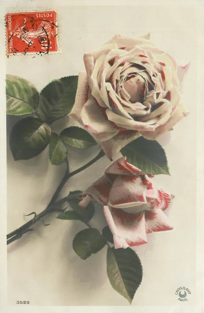 Rosas — detalhes florais — Crossant Paris, n° 3529 - Frente