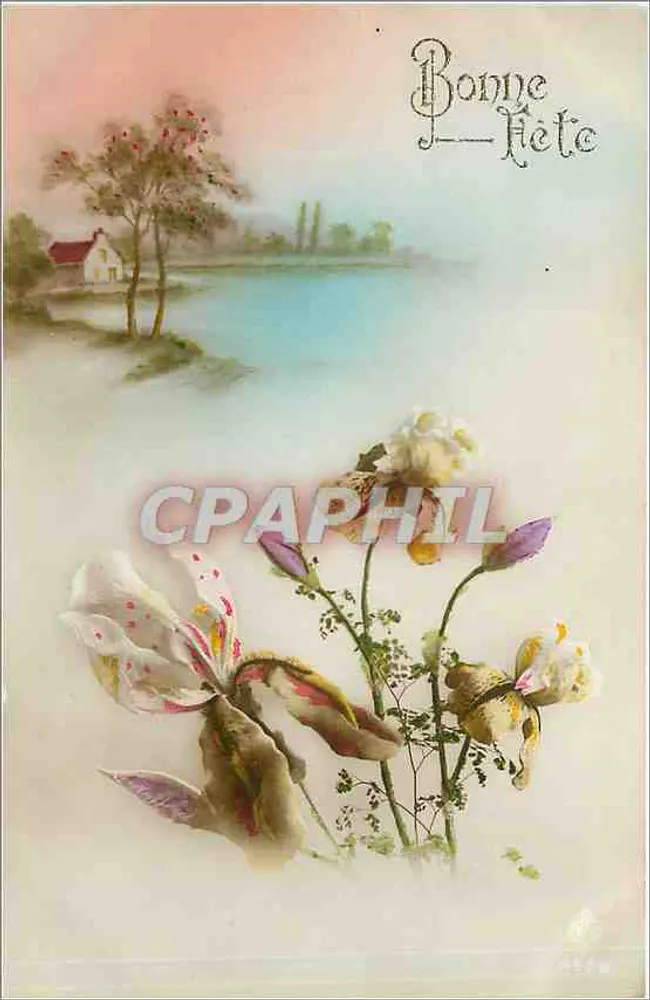 Zicht op een meer met bloemen — Gelukkige verjaardag — Uitgever onbekend - Voorkant
