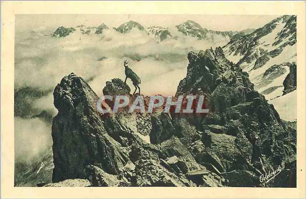 Chamois em nossas Alpes — Dauphiné — Editor Oddewy - Frente